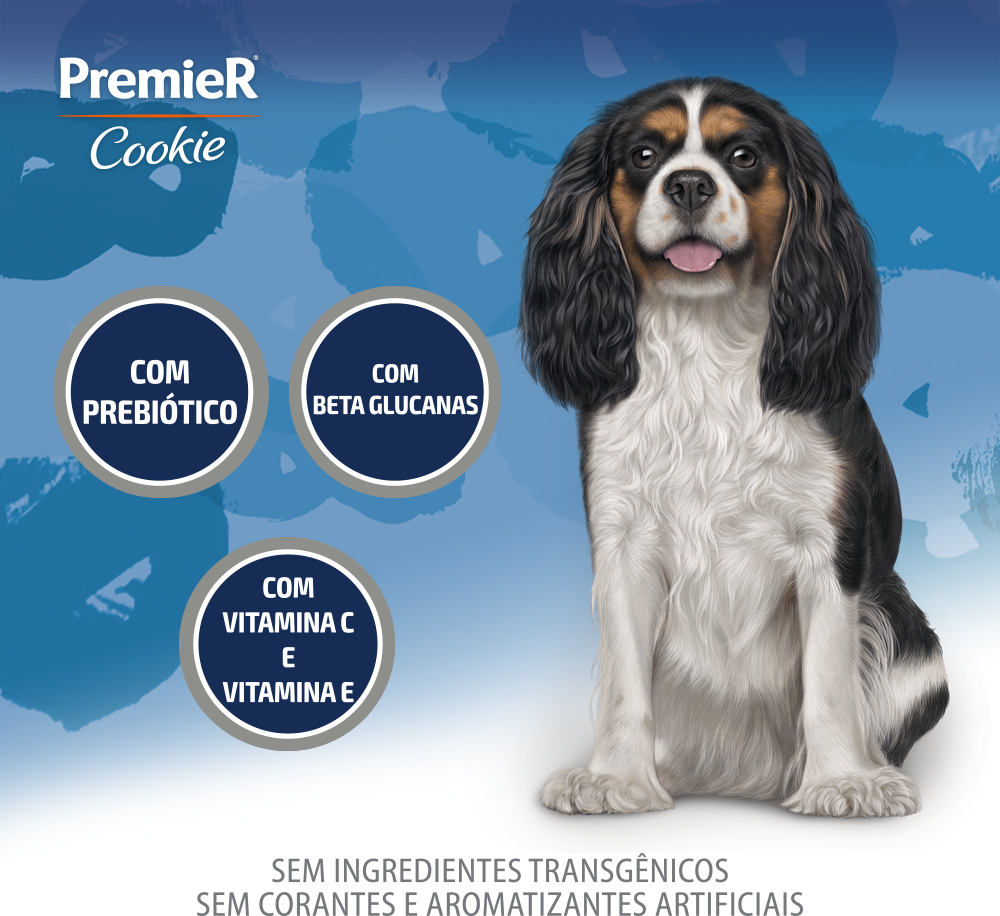 Biscoito PremieR Cookie para Cães Idosos Sabor Original - 250g