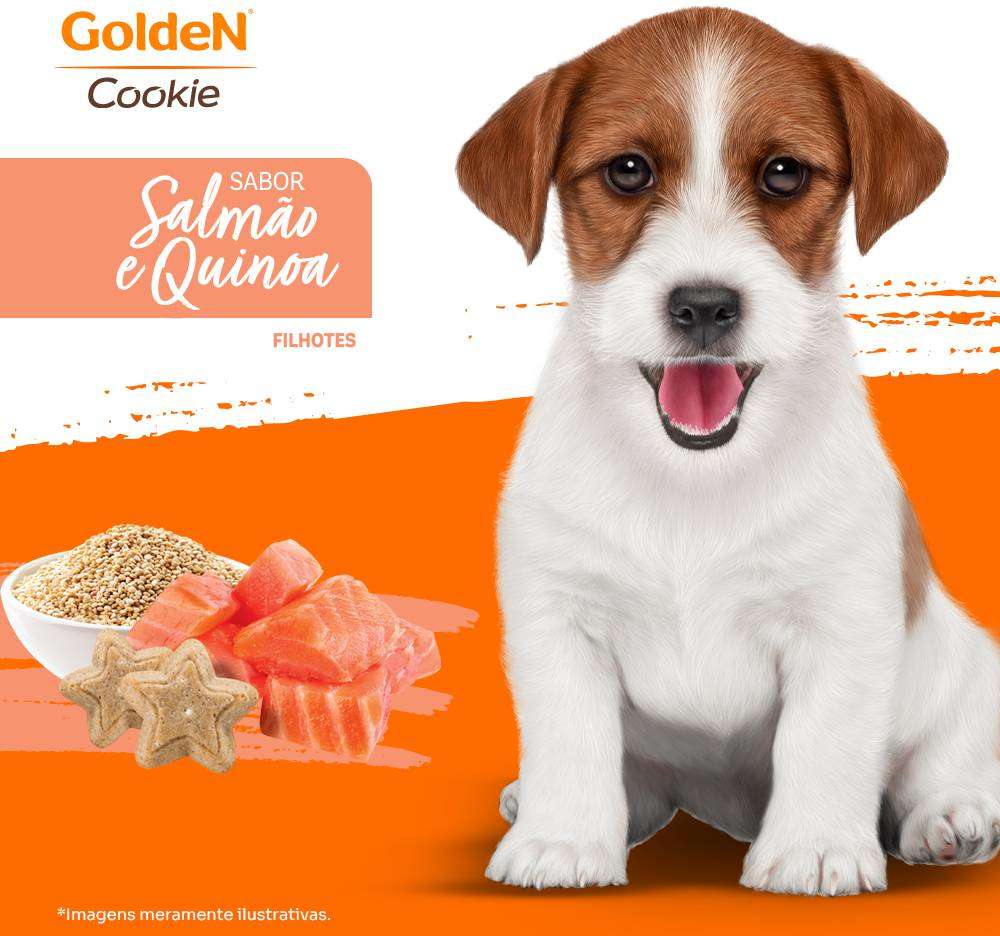 Biscoito PremieR para Cães Filhotes Porte Pequeno e Médio Sabor Quinoa e Salmão - 350g