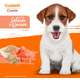 Biscoito PremieR para Cães Filhotes Porte Pequeno e Médio Sabor Quinoa e Salmão