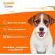 Biscoito PremieR para Cães Filhotes Porte Pequeno e Médio Sabor Quinoa e Salmão