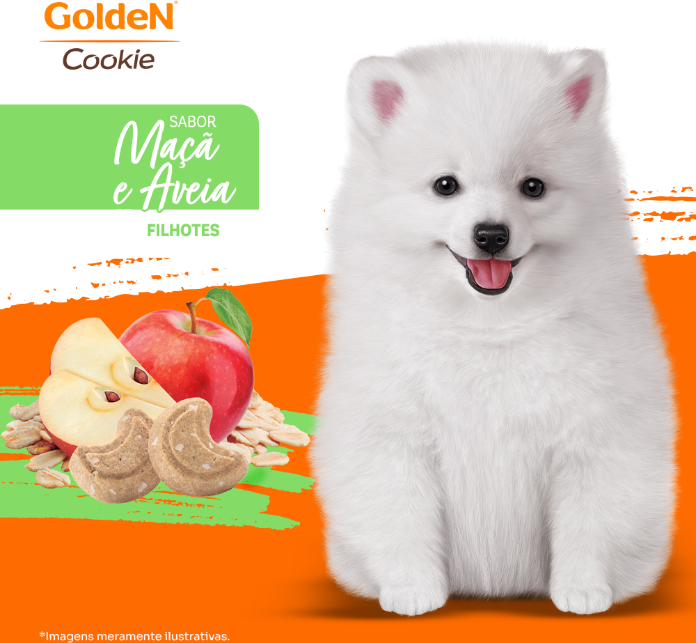 Biscoito PremieR Premier Formula para Cães Filhotes Porte Pequeno Sabor Aveia e Maçã - 350g