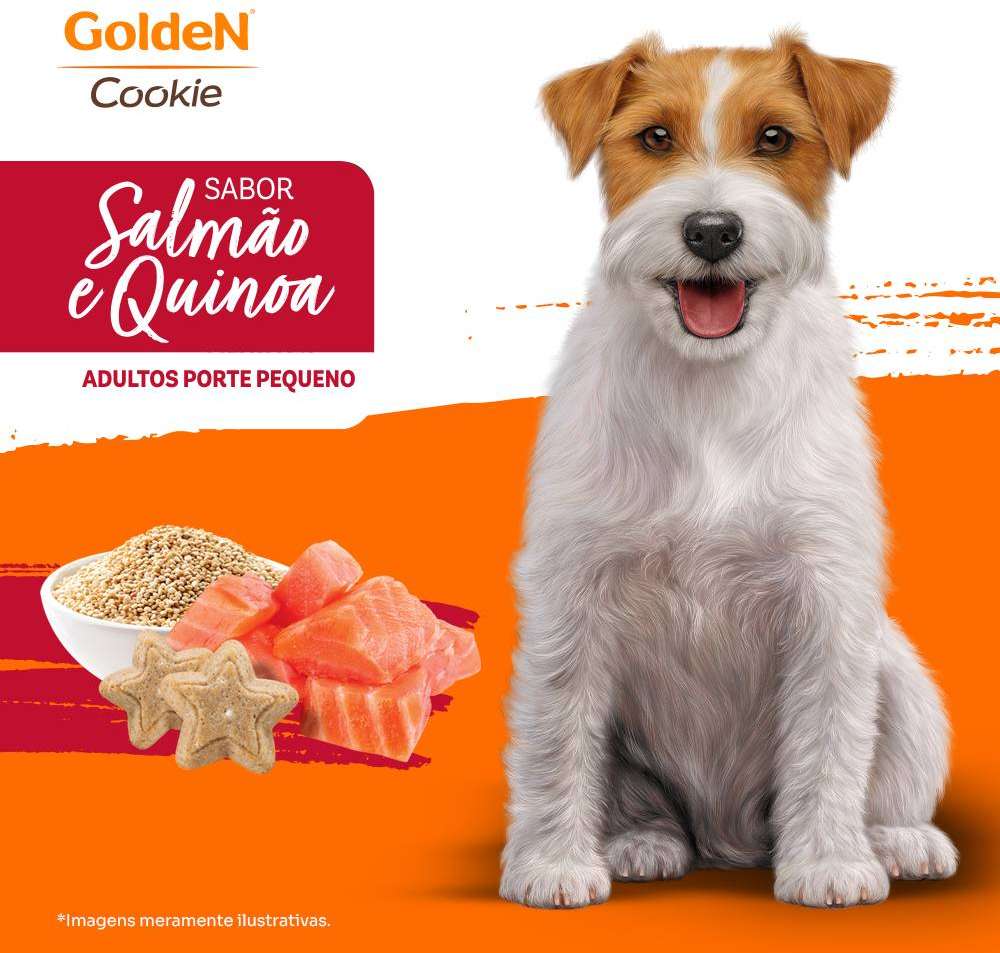 Biscoito PremieR para Cães Adultos Porte Pequeno Sabor Quinoa e Salmão - 350g