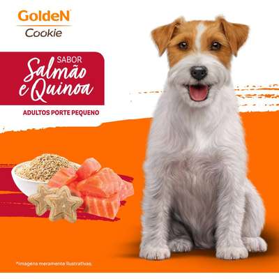 Biscoito PremieR para Cães Adultos Porte Pequeno Sabor Quinoa e