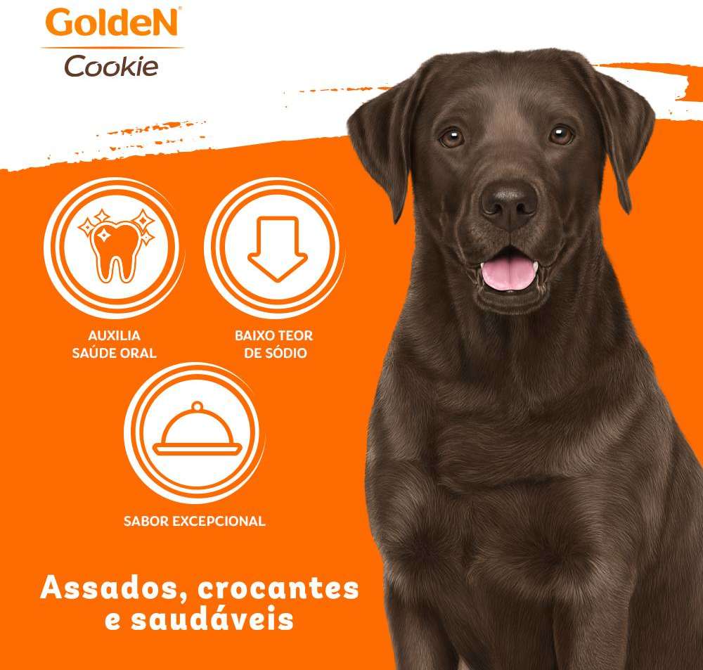 Biscoito GoldeN para Cães Adultos Sabor Original - 350g