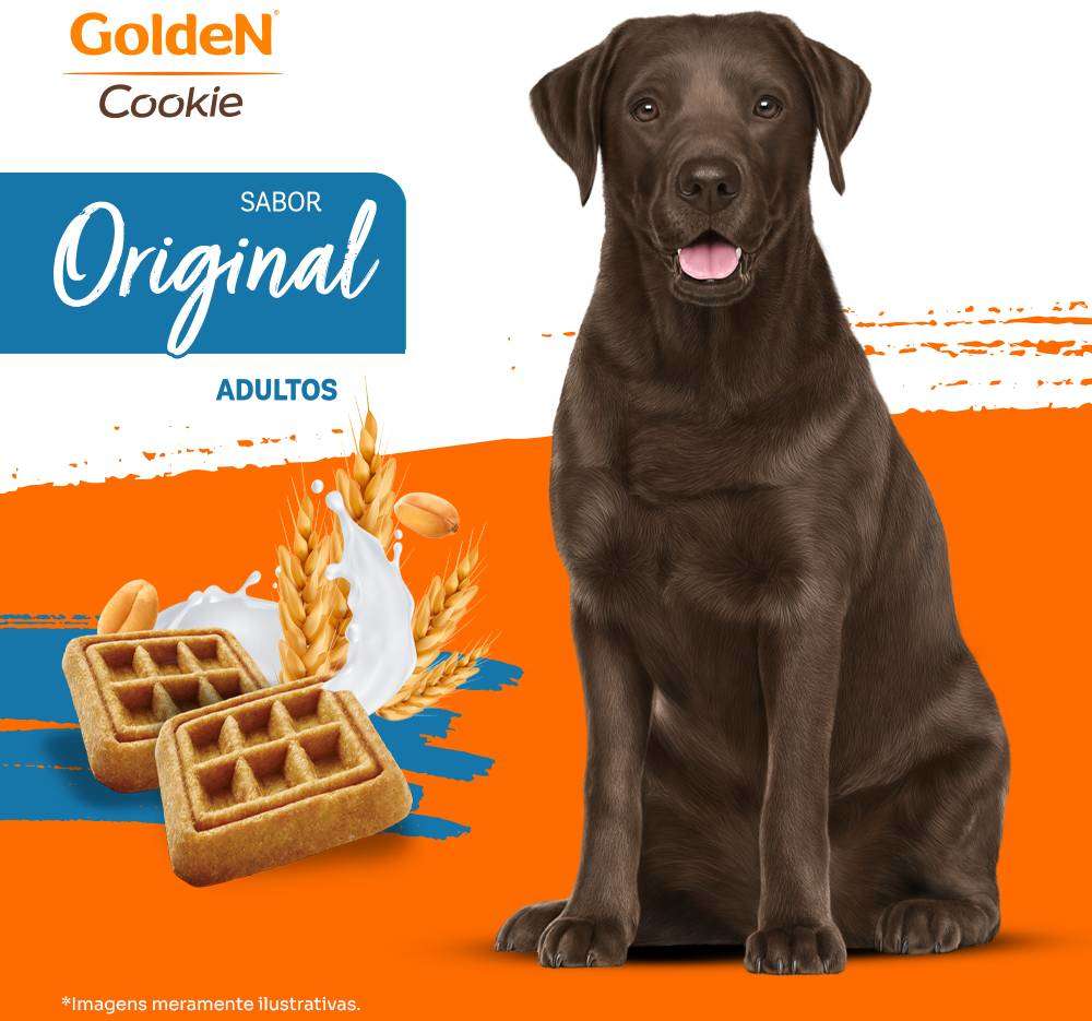 Biscoito GoldeN para Cães Adultos Sabor Original - 350g