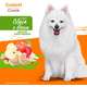 Biscoito PremieR Premier Formula para Cães Adultos Porte Pequeno Sabor Aveia e Maçã