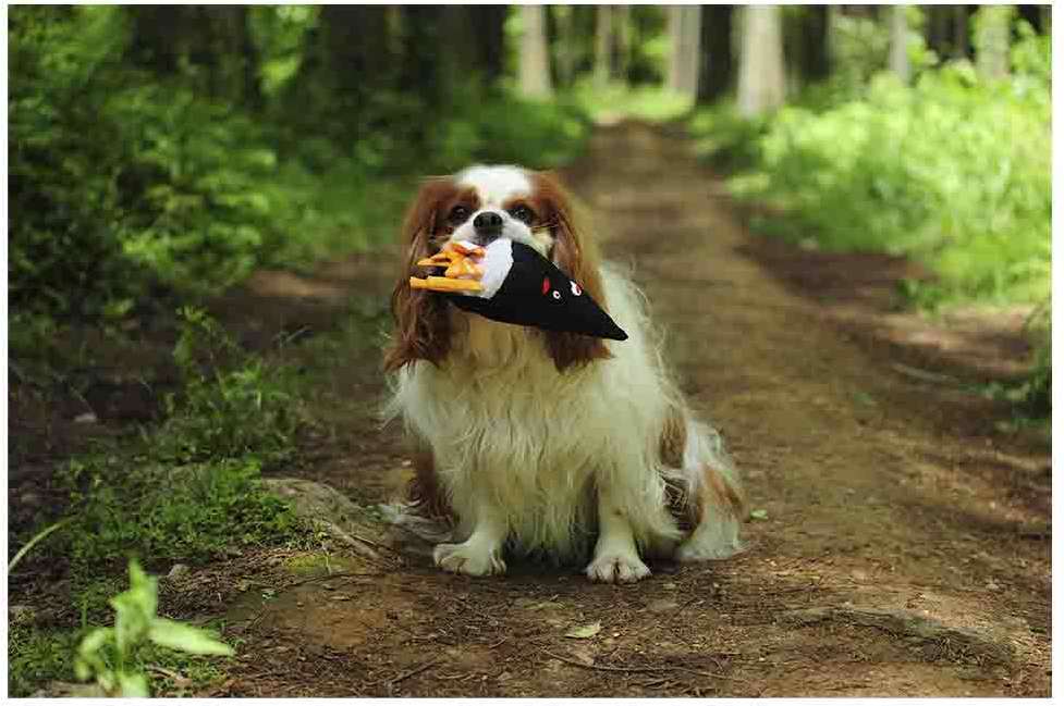 Brinquedo Pelúcia V-Pet Temaki Sustentável para Cães - Tam. Único