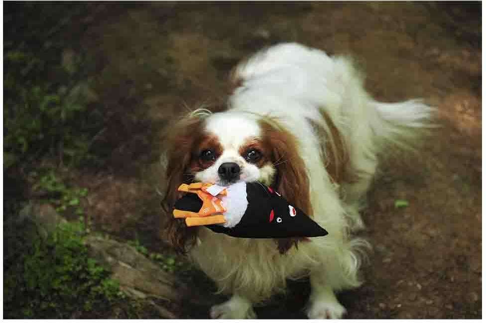 Brinquedo Pelúcia V-Pet Temaki Sustentável para Cães - Tam. Único
