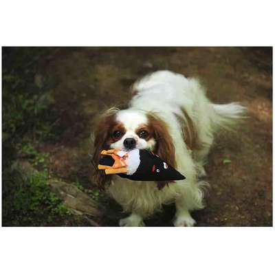 Brinquedo Pelúcia V-Pet Temaki Sustentável para Cães”