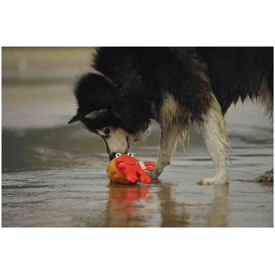 Brinquedo Pelúcia V-Pet Carangueijo Vermelho Sustentável para Cães