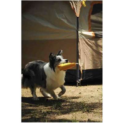 Brinquedo Pelúcia V-Pet Pizza Sustentável para Cães”