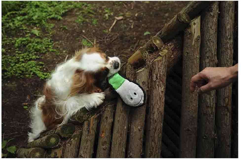 Brinquedo Pelúcia V-Pet Cascavel Verde Sustentável para Cães - Tam. Único