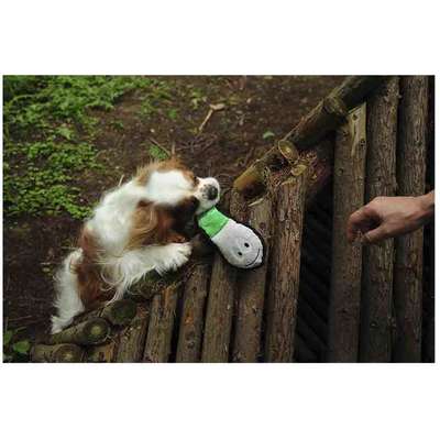 Brinquedo Pelúcia V-Pet Cascavel Verde Sustentável para Cães”