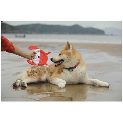 Brinquedo Pelúcia V-Pet Frisbee Raposa Vermelha Sustentável para Cães