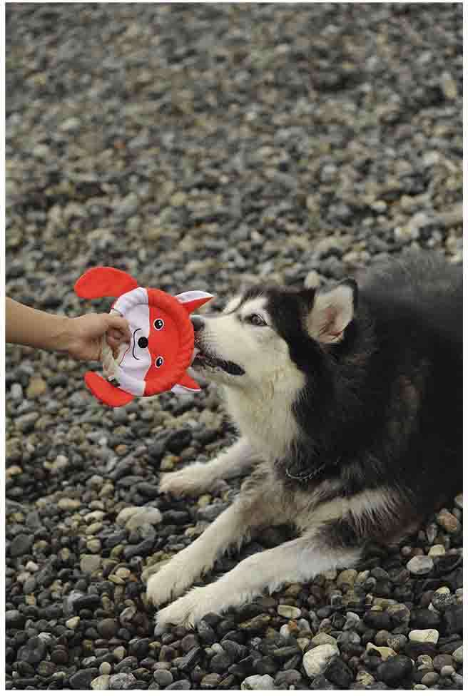 Brinquedo Pelúcia V-Pet Frisbee Raposa Vermelha Sustentável para Cães - Tam. M
