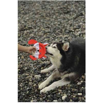 Brinquedo Pelúcia V-Pet Frisbee Raposa Vermelha Sustentável para Cães