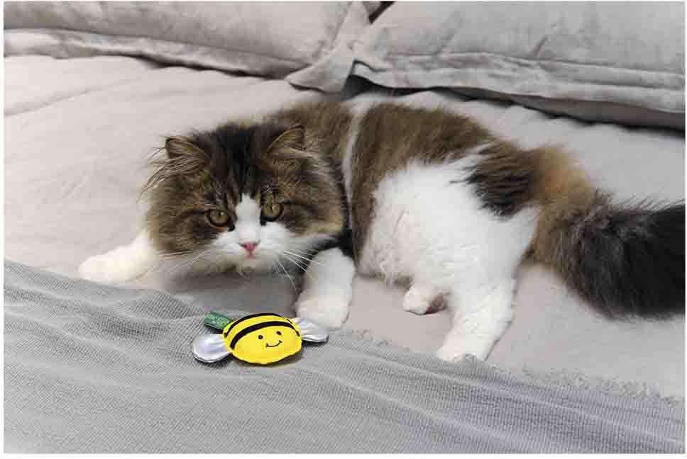Brinquedo Pelúcia V-Pet Abelha Amarela Sustentável para Gatos - Tam. Único