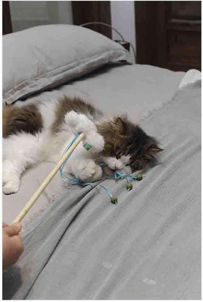 Brinquedo Pelúcia V-Pet Nuvem Branca Sustentável para Gatos - Tam. Único