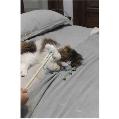 Brinquedo Pelúcia V-Pet Nuvem Branca Sustentável para Gatos”