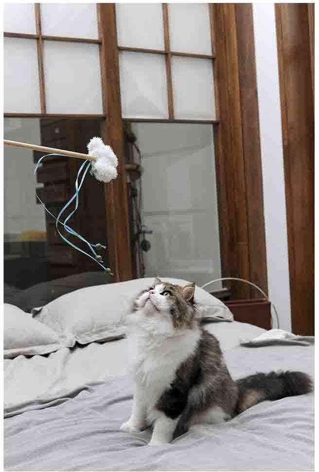 Brinquedo Pelúcia V-Pet Nuvem Branca Sustentável para Gatos - Tam. Único