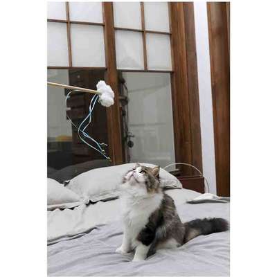 Brinquedo Pelúcia V-Pet Nuvem Branca Sustentável para Gatos”