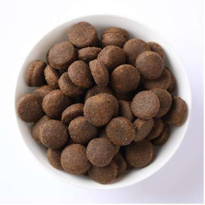 Ração Seca Farmina N&D Quinoa Digestion Cordeiro para Cães Adultos de Porte Mini