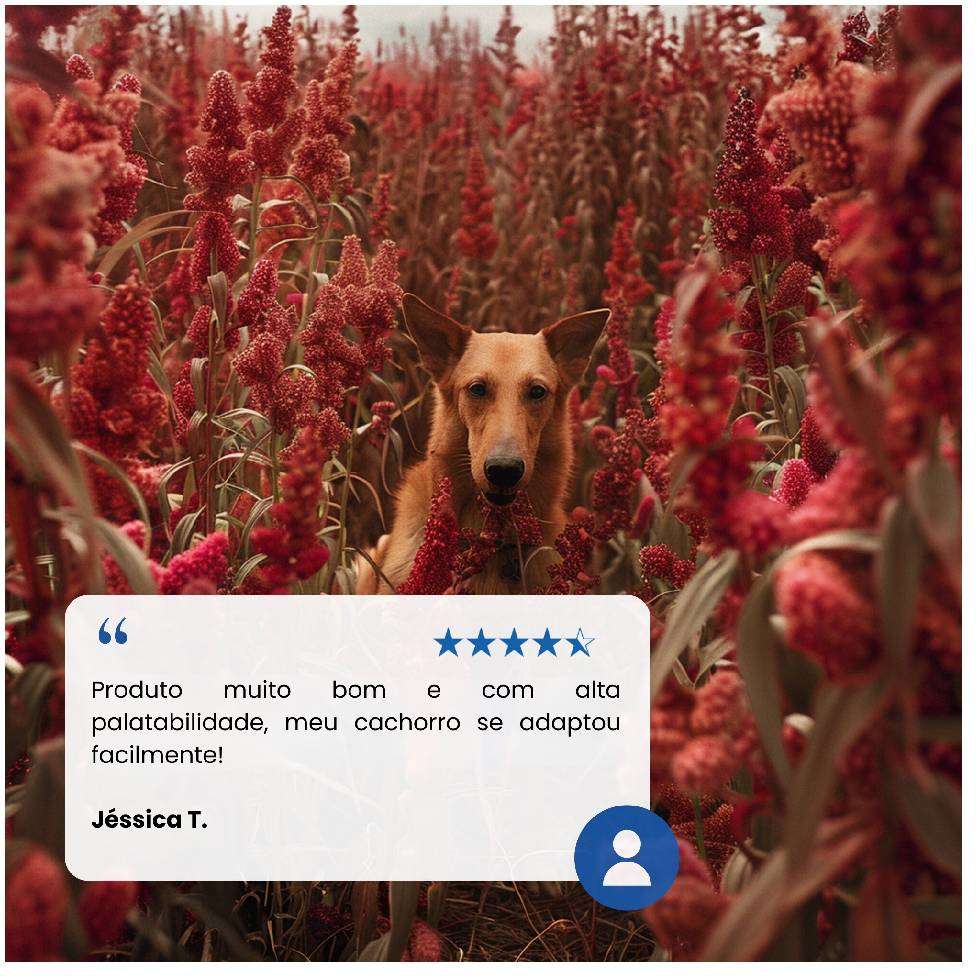 Ração Seca Farmina N&D Quinoa Digestion Cordeiro para Cães Adultos de Porte Mini - 2,5Kg