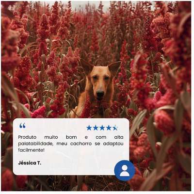 Ração Seca Farmina N&D Quinoa Digestion Cordeiro para Cães Adultos de Porte Mini