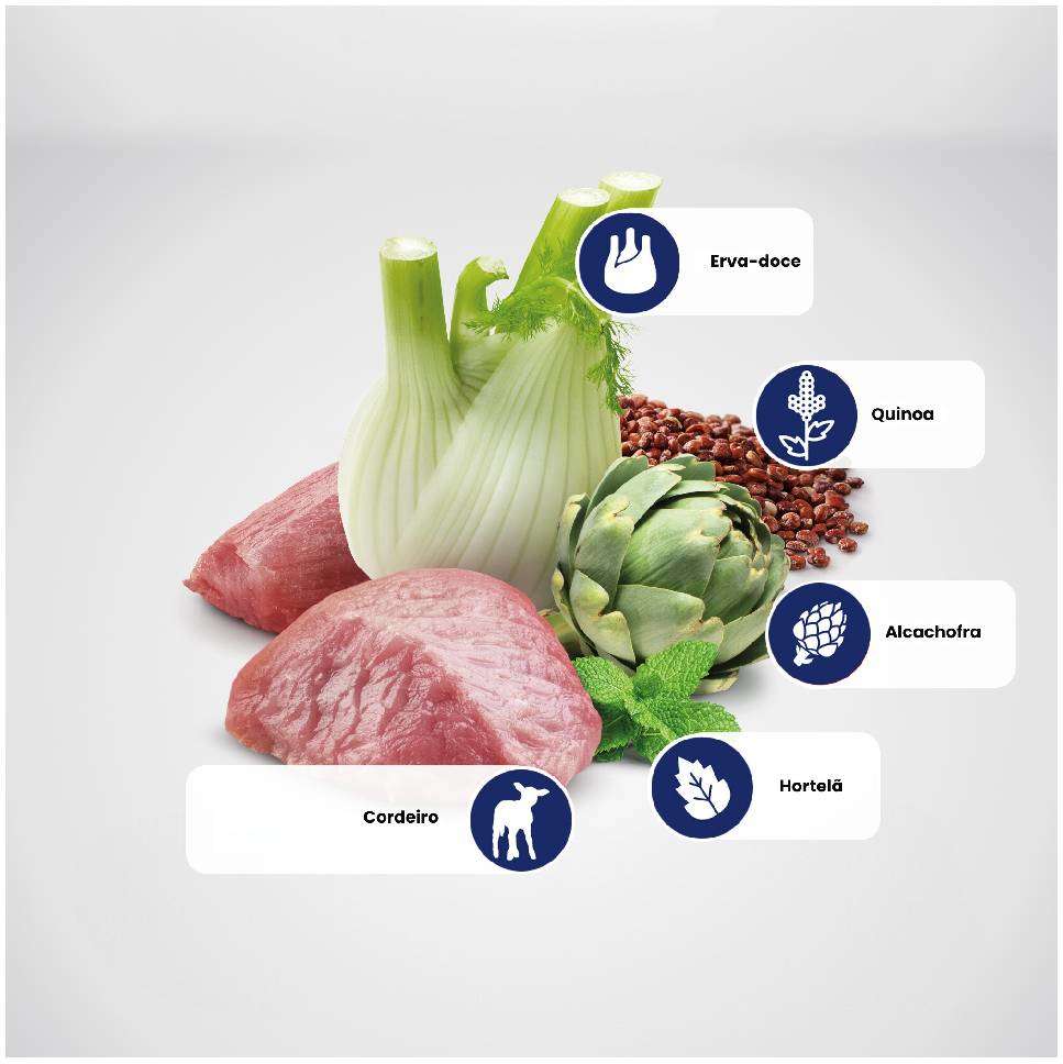 Ração Seca Farmina N&D Quinoa Digestion Cordeiro para Cães Adultos de Porte Mini - 2,5Kg