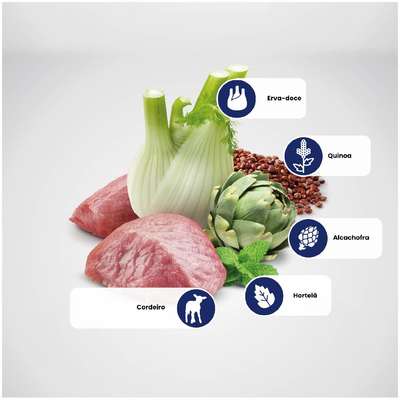 Ração Seca Farmina N&D Quinoa Digestion Cordeiro para Cães Adultos de Porte Mini
