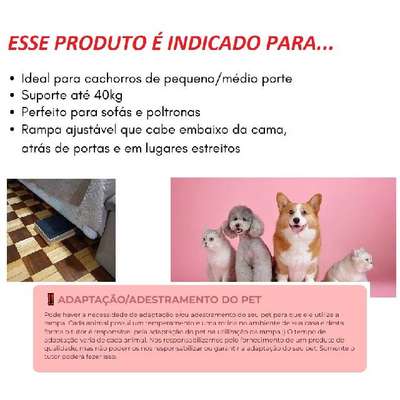 Rampa Auxiliar Pets HG Carpetinho para Cães e Gatos