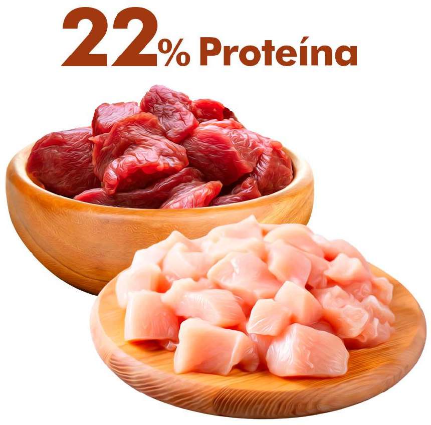 Ração Seca Dog Excellence Essence Carne e Frango para Cães - 15Kg