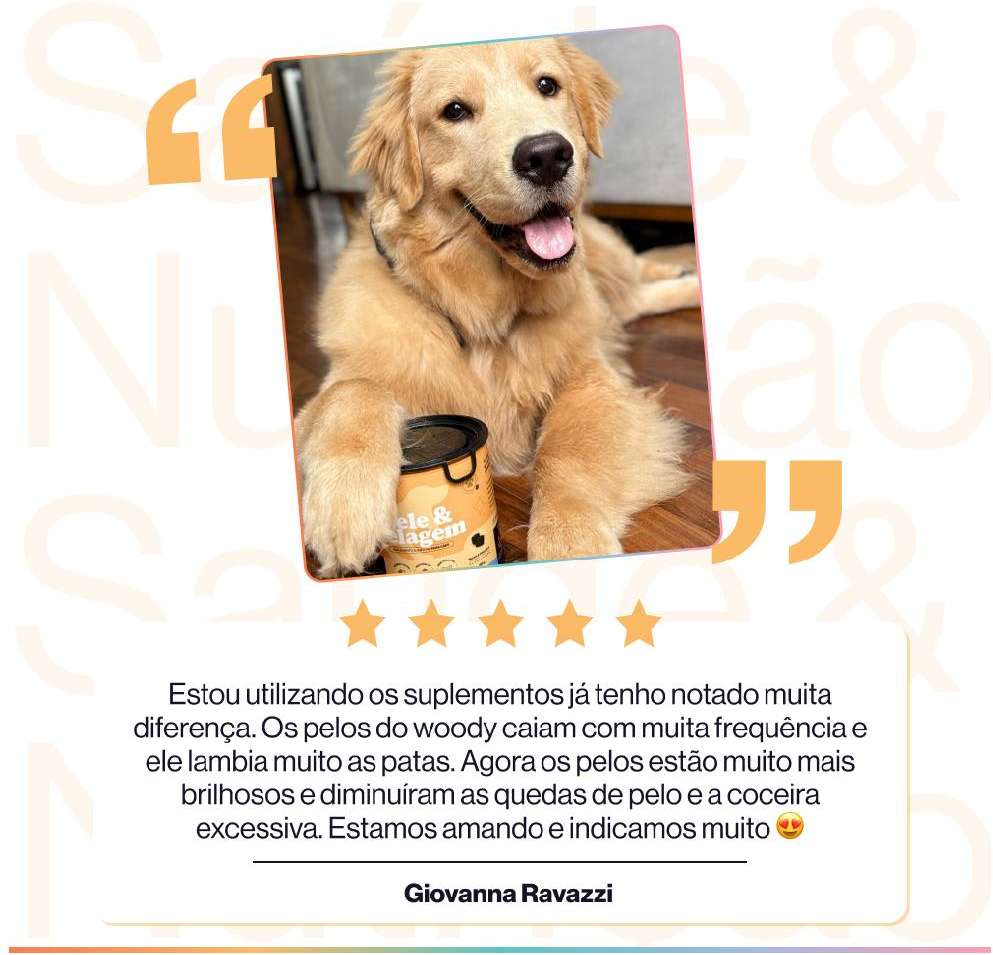 Suplemento Alimentar Buddy Nutrition Pele & Pelagem para Cães - 168 g