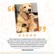 Suplemento Alimentar Buddy Nutrition Pele & Pelagem para Cães