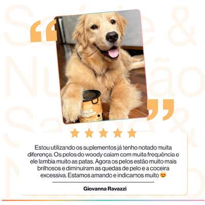 Suplemento Alimentar Buddy Nutrition Pele & Pelagem para Cães
