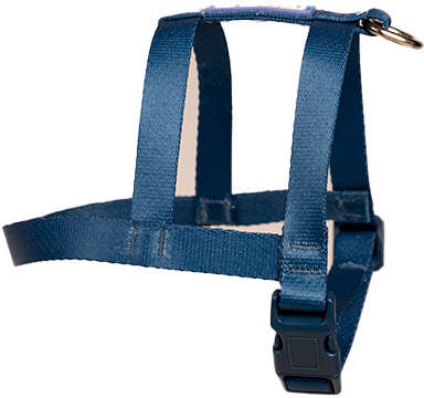 Peitoral Tradicional Meau Azul - Tam. P