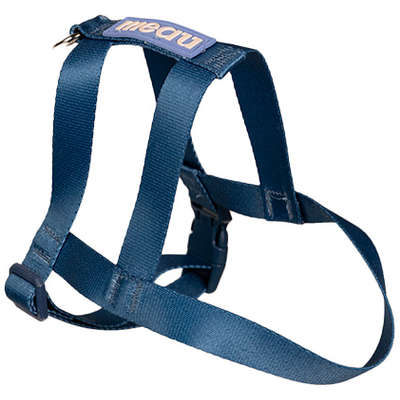 Peitoral Tradicional Meau Azul
