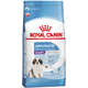 Ração Royal Canin Giant Puppy para Filhotes de Cães Gigantes de 2 a 8 Meses de Idade