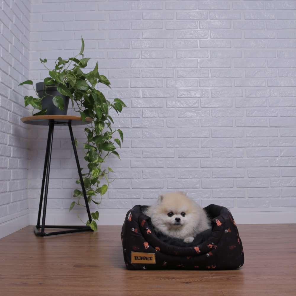Cama Luppet Iglu 3 em 1 com Estampa Cachorro - Tam. M