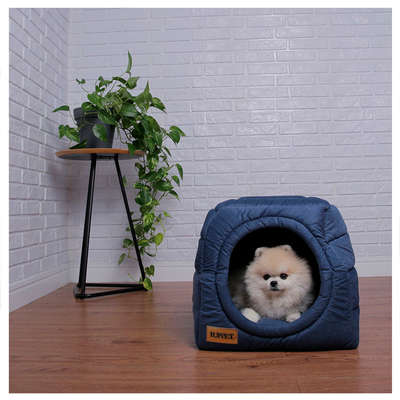 Cama Luppet Iglu Super Luxo Azul”