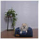 Cama Luppet Iglu Super Luxo Azul”