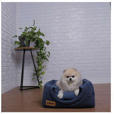 Cama Luppet Iglu Super Luxo Azul”