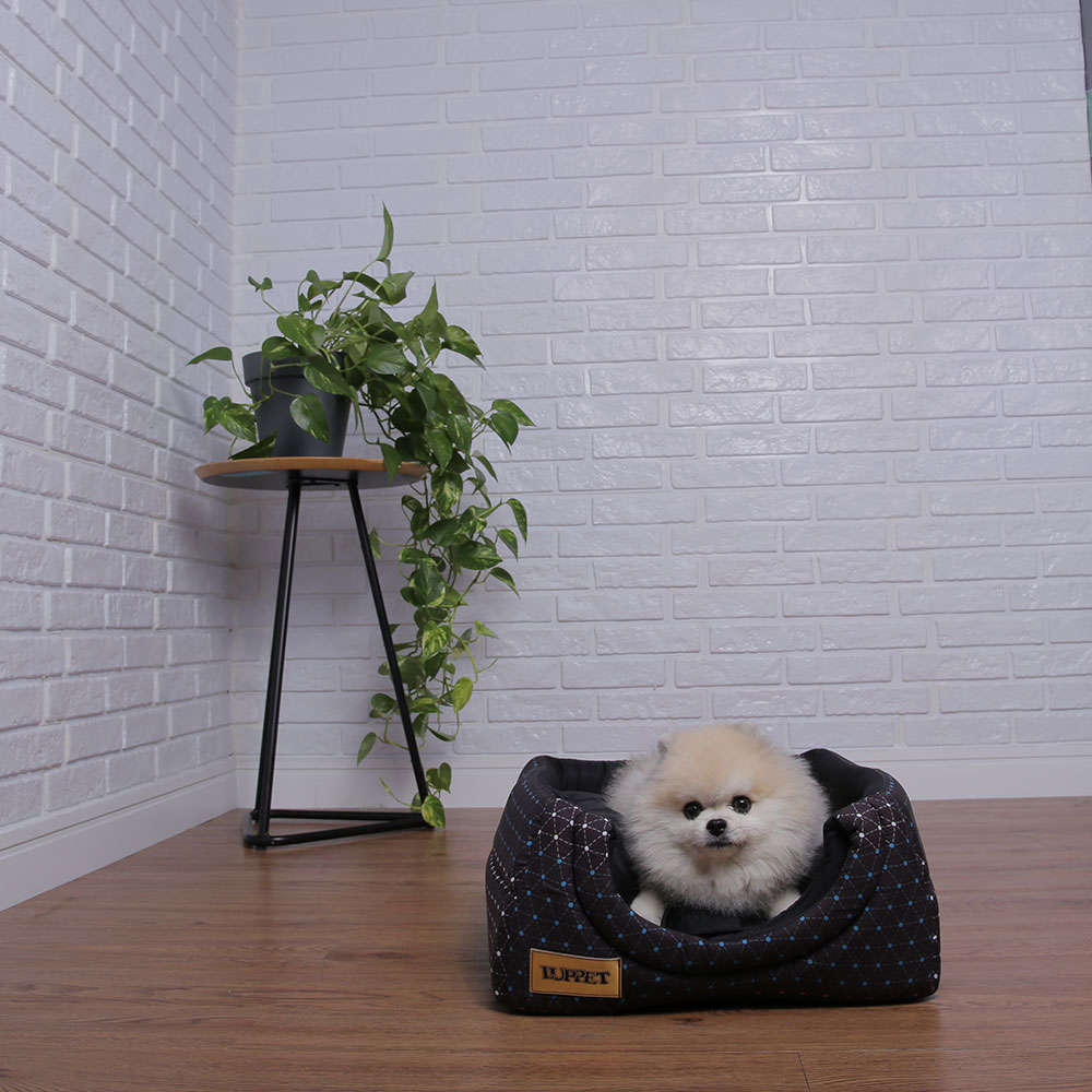 Cama Luppet Conforto Iglu 2 em 1 Preta - Tam. M
