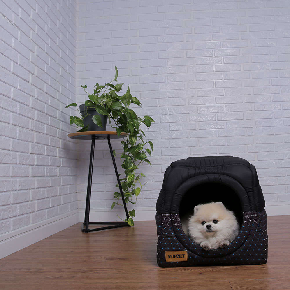 Cama Luppet Conforto Iglu 2 em 1 Preta - Tam. M