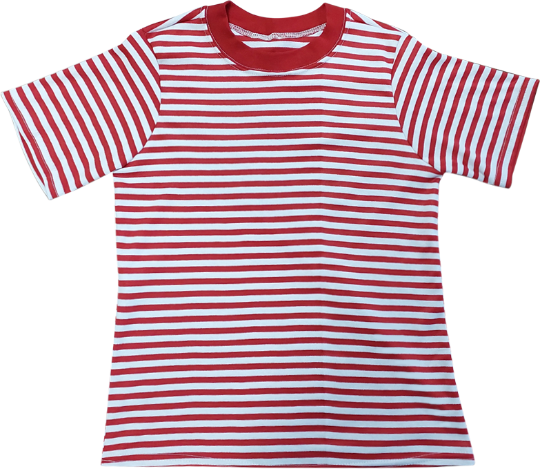 Camiseta Fábrica Pet Listrada Tal Mãe Tal Pet Vermelha - Tam. M