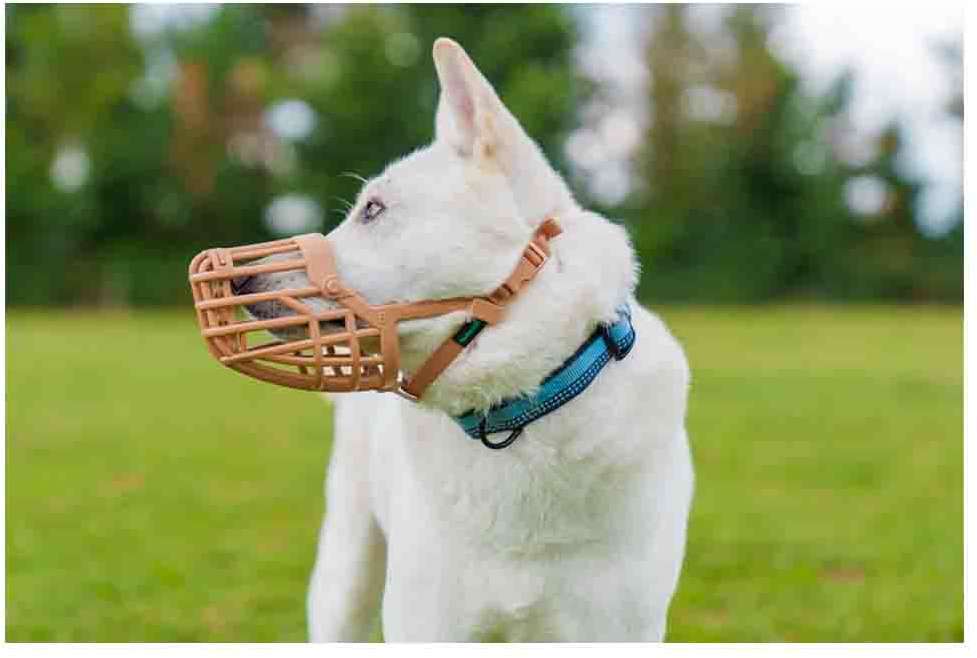 Focinheira Cesta Baskerville para Cães - Tam. 06