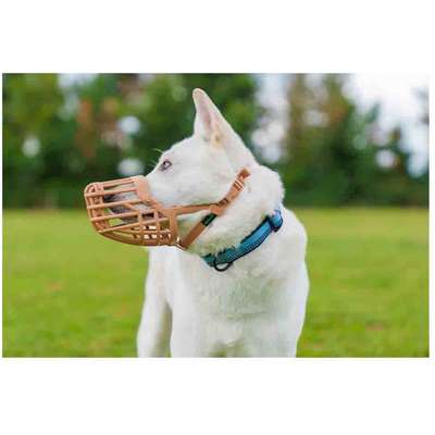 Focinheira Cesta Baskerville para Cães