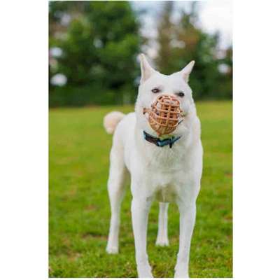Focinheira Cesta Baskerville para Cães