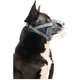 Focinheira Invisa Baskerville Invisa para Cães