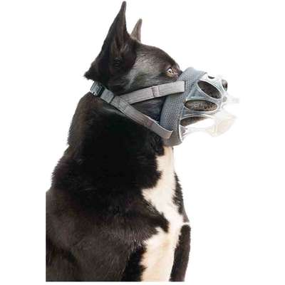 Focinheira Invisa Baskerville Invisa para Cães